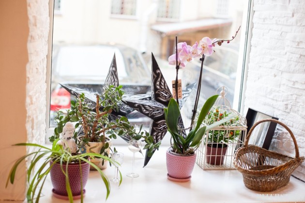 All Days Are Lucky, рестораны