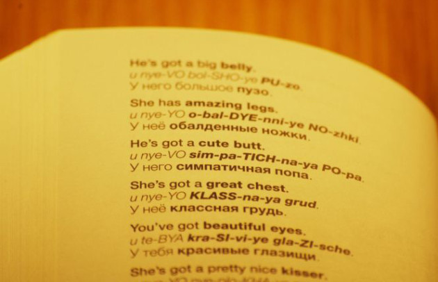 Так предлагают иностранцам учить русский в книге Dirty Russian