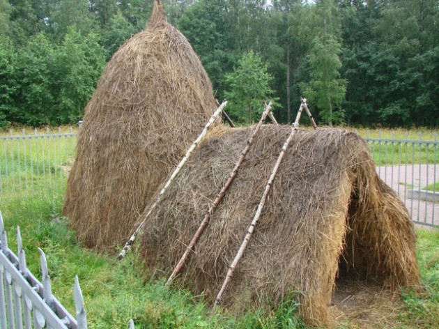 Muzeynyiy-kompleks-SHalash-V.I.-Lenina-v-Razlive-umenshilsya