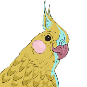 papygai
