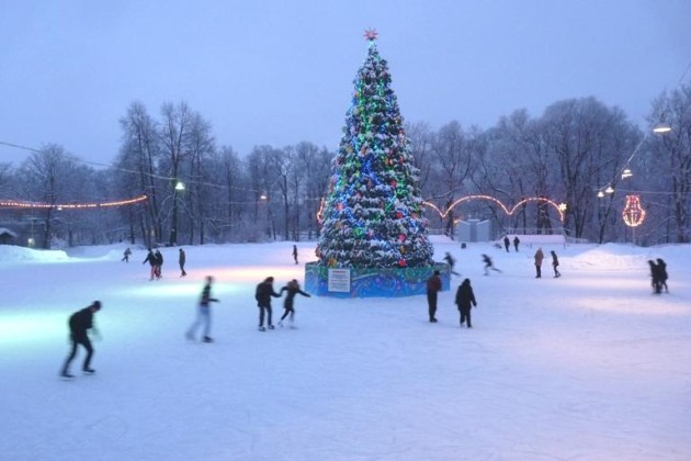 каток цпкио