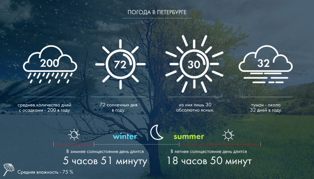 infografika