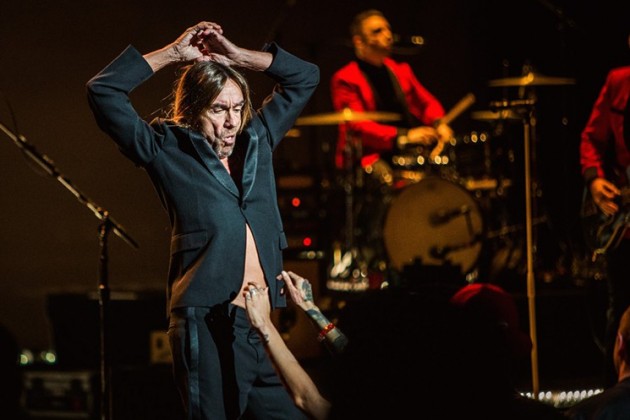 iggy-pop